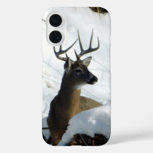 Big Buck iPhone Case