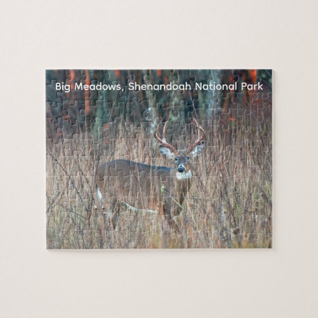 Big Buck, Shenandoah National Park Jigsaw Puzzle (Horizontal)