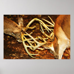 Big Bucks Battle Poster