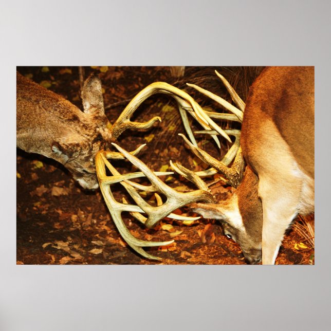 Big Bucks Battle Poster (Front)