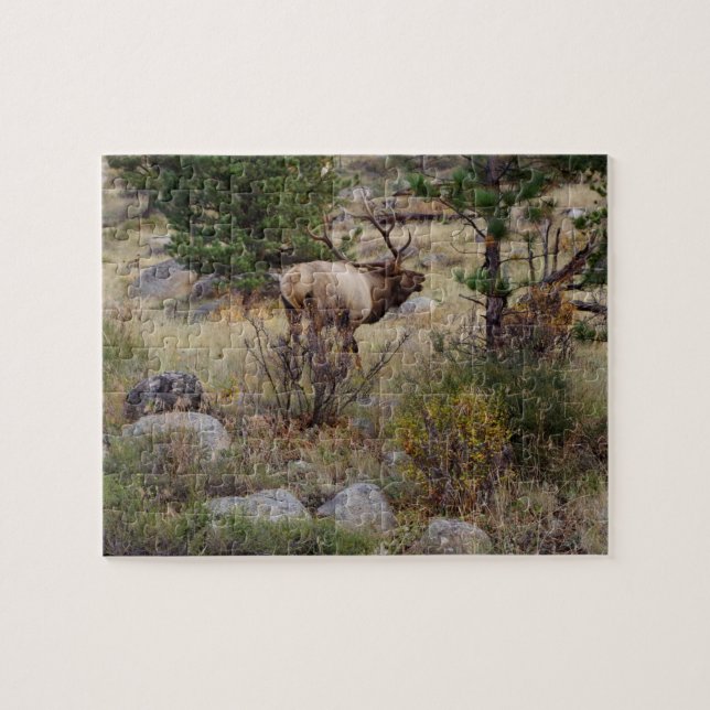 Big Bull Elk - Puzzle (Horizontal)
