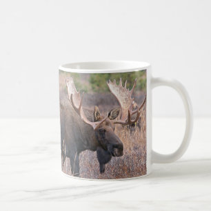 Big Bull Moose Coffee Mug