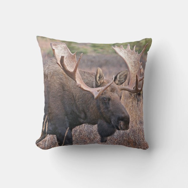 Big Bull Moose Throw Pillow (Front)