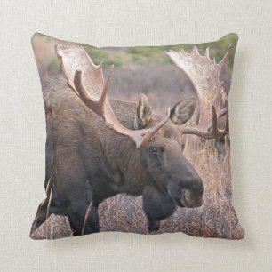 Big Bull Moose Throw Pillow