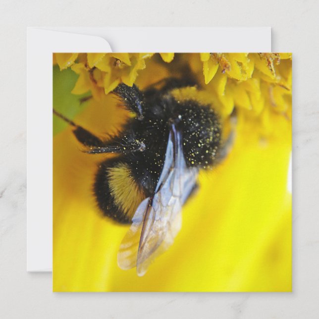 Big bumblebee invitation (Front)