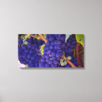 Big Bunch of Juicy Purple Grapes