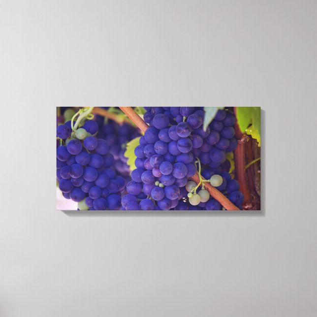 Big Bunch of Juicy Purple Grapes Canvas Print (Front)
