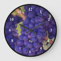 Big Bunch of Juicy Purple Grapes