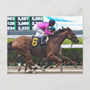 Big Business- One Rein Postcard