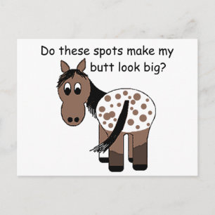Big Butt Blanket Appaloosa Postcard