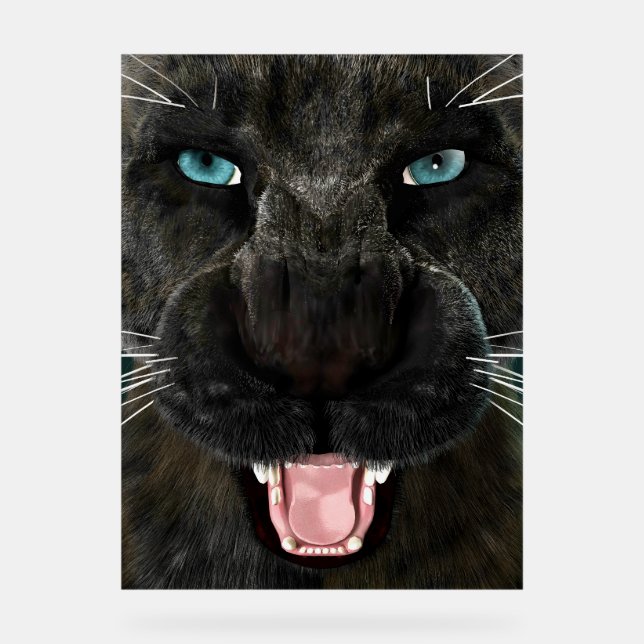 Big Cat Black Panther Acrylic Sign (Front)
