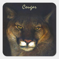 Big Cat Cougar Mountain Lion Art Design