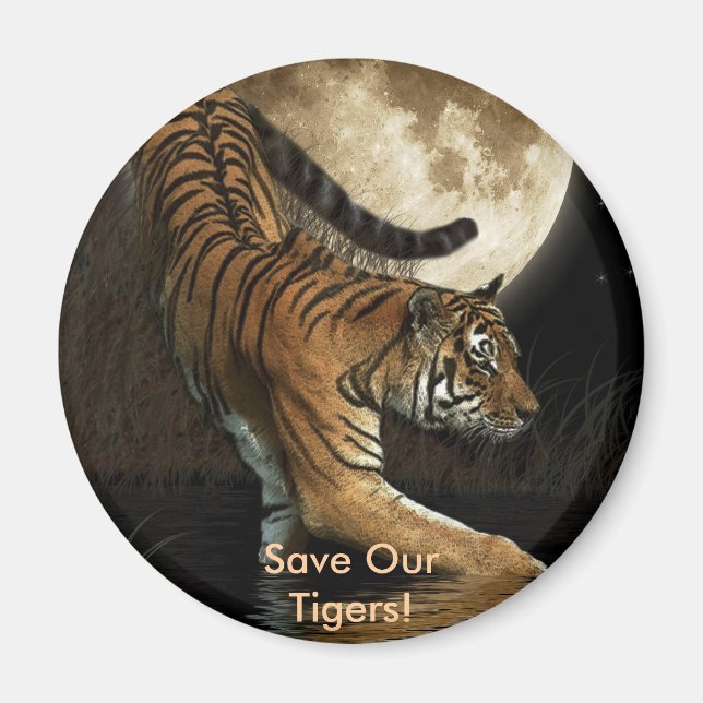 BIG CAT Endangered Species Series Magnet (Front)