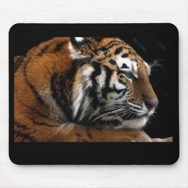 Big Cat Mouse Pad (Front)