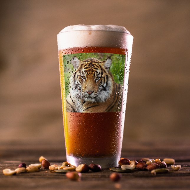 Big Cat Sumatran Tiger Photo Glass (In Situ Beer)