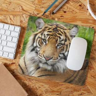 Big Cat Sumatran Tiger Photo Mouse Pad