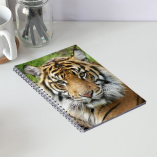 Big Cat Tiger Photo Notebook