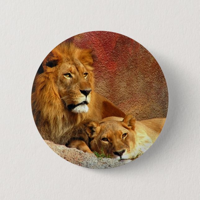 Big Cats - 6 2 Inch Round Button (Front)