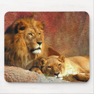Big Cats - 6 Mouse Pad