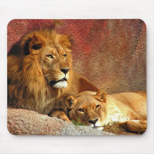 Big Cats - 6 Mouse Pad (Front)