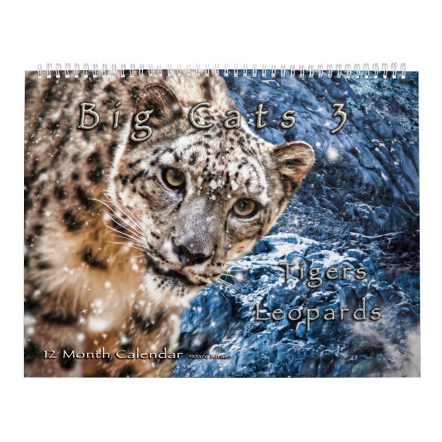 Big Cats Art Calendar Snow Leopard Jaguar Tigers (Cover)