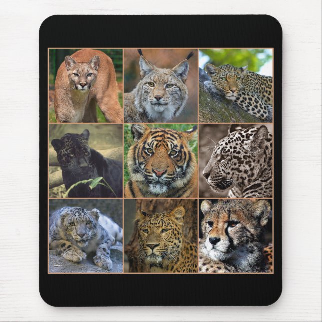 Big cats mouse pad (Front)