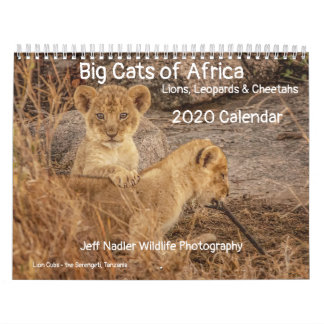 Big Cats of Africa: Lions, Leopards 2020 Calendar