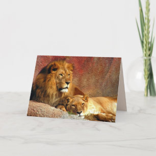 Big Cats Set - 6 Card