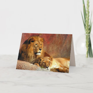Big Cats Set - 6 Card