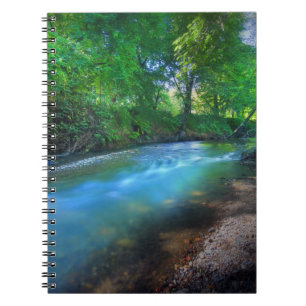 Big Chico Creek, Chico State University Notebook