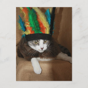 Big Chief Mikie Postcard