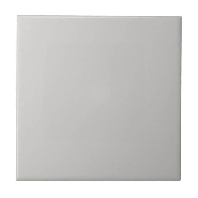 Big Chilling Grey Square Kitchen and Bathroom Tile (Front)