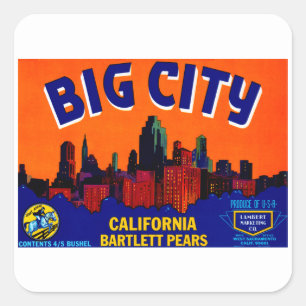 Big City Pears Square Sticker