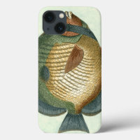 Big Colorful Fish
