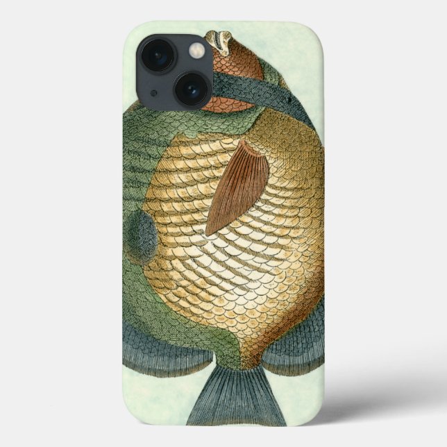Big Colourful Fish Case-Mate iPhone Case (Back)