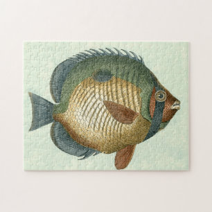 Big Colourful Fish Jigsaw Puzzle