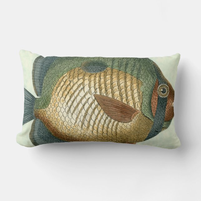 Big Colourful Fish Lumbar Pillow (Front)