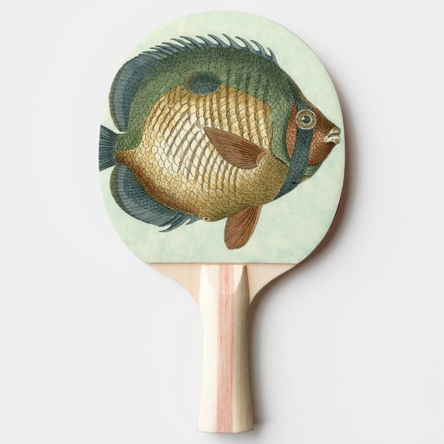 Big Colourful Fish Ping Pong Paddle (Front)