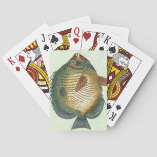 Big Colourful Fish Playing Cards
