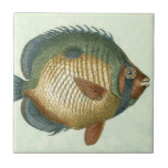 Big Colourful Fish Tile<br><div class="desc">Get this unique image of a big colourful fish on your next product. This amazing art print of a green,  orange,  dark-blue and yellow fish will look great on anything. Take this sea-inspired image with you everywhere you go.</div>