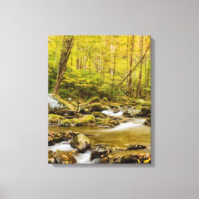 Big Creek | North Carolina Canvas Print (Front)