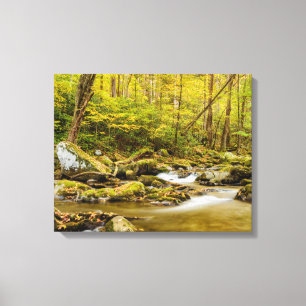Big Creek   North Carolina Canvas Print