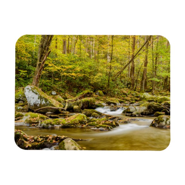 Big Creek | North Carolina Magnet (Horizontal)
