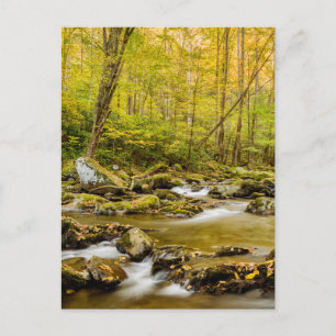 Big Creek North Carolina Postcard