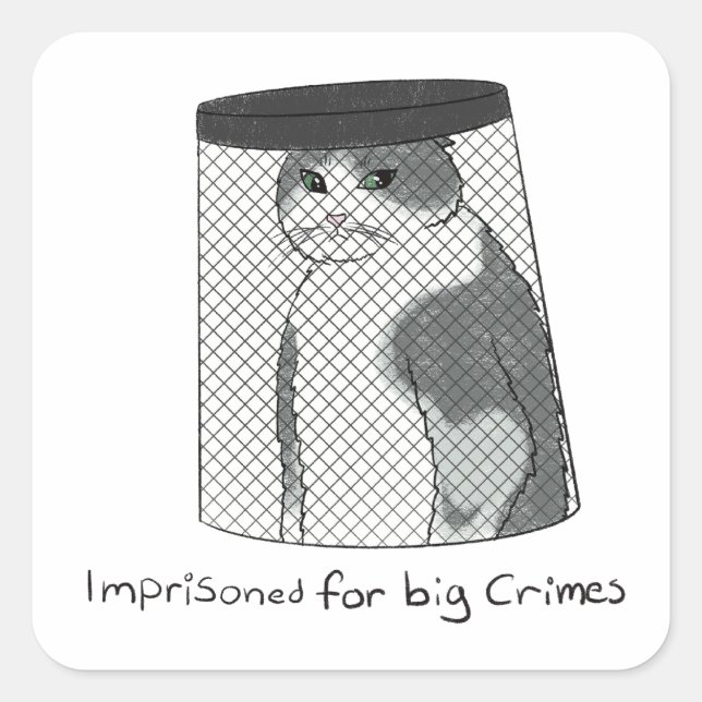 Big Crimes Square Sticker (Front)