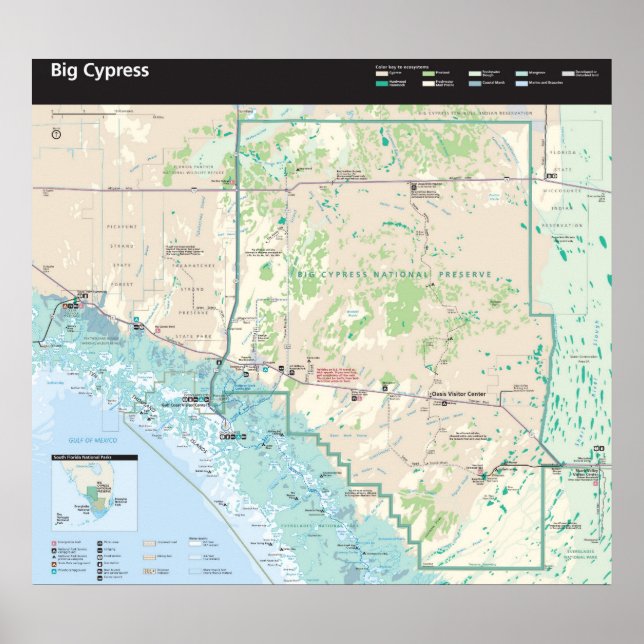Big Cypress National Preserve Poster (Front)