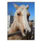 Big Dark Eyes Pretty Golden Palomino Pony -  Blank