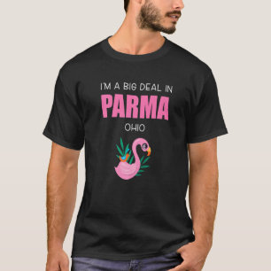 Big Deal Sarcastic Parma Ohio Pink Flamingo Souven T-Shirt