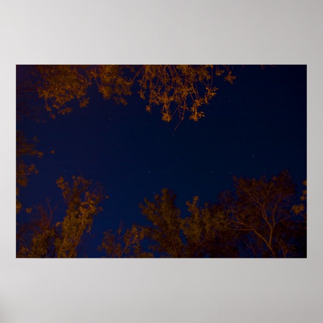 Big Dipper poster (Front)