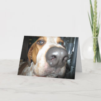 Big Dog Nose Notecard